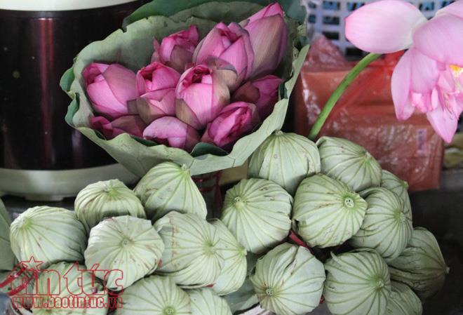 Trà sen Hồ Tây: Nét độc đáo của Thủ đô